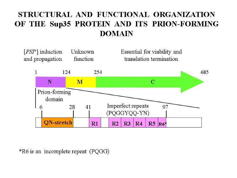 STRUCTURAL  AND  FUNCTIONAL  ORGANIZATION  OF  THE  Sup35 